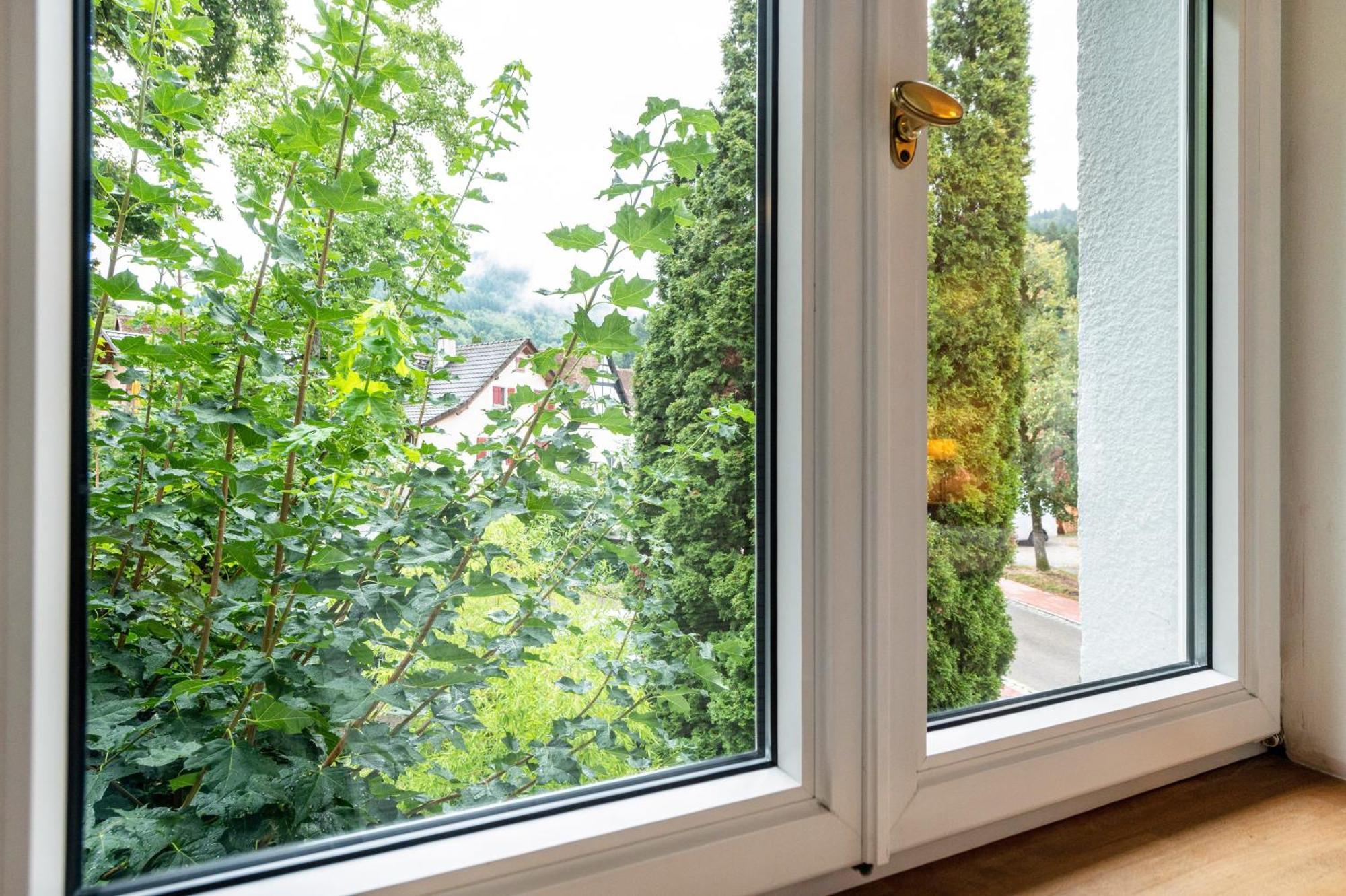 Appartement Waldhorn 巴登韦勒 外观 照片