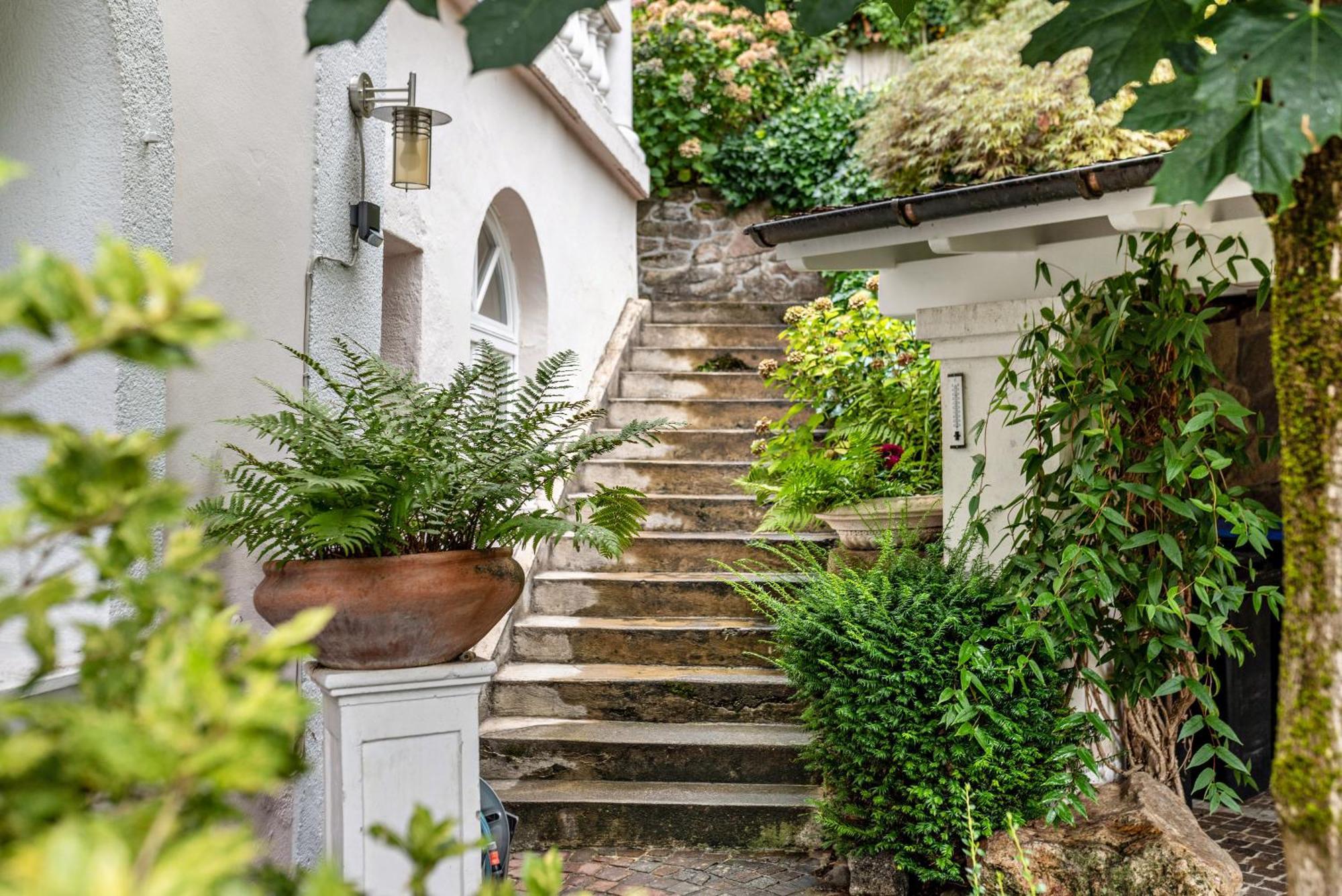Appartement Waldhorn 巴登韦勒 外观 照片